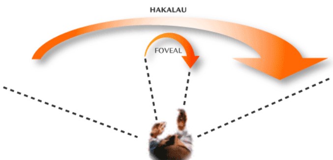 Hakalau peripheral vision